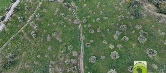 50000m² Land in Noto, Italy No. 63892 10