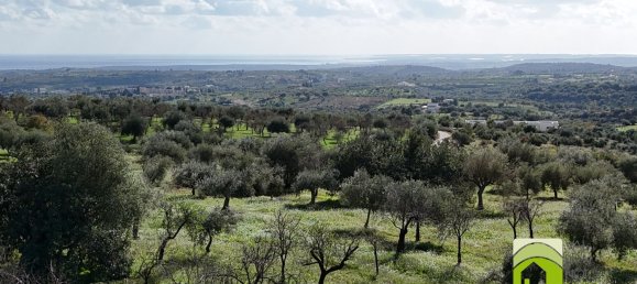 50000m² Land in Noto, Italy No. 63892 7