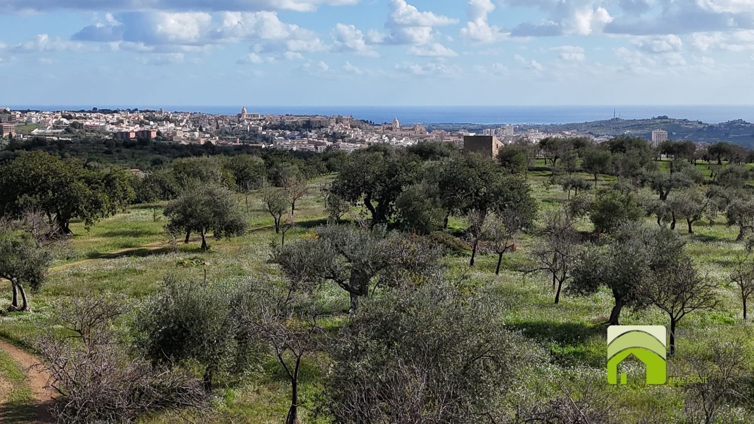 50000m² Land in Noto, Italy No. 63892