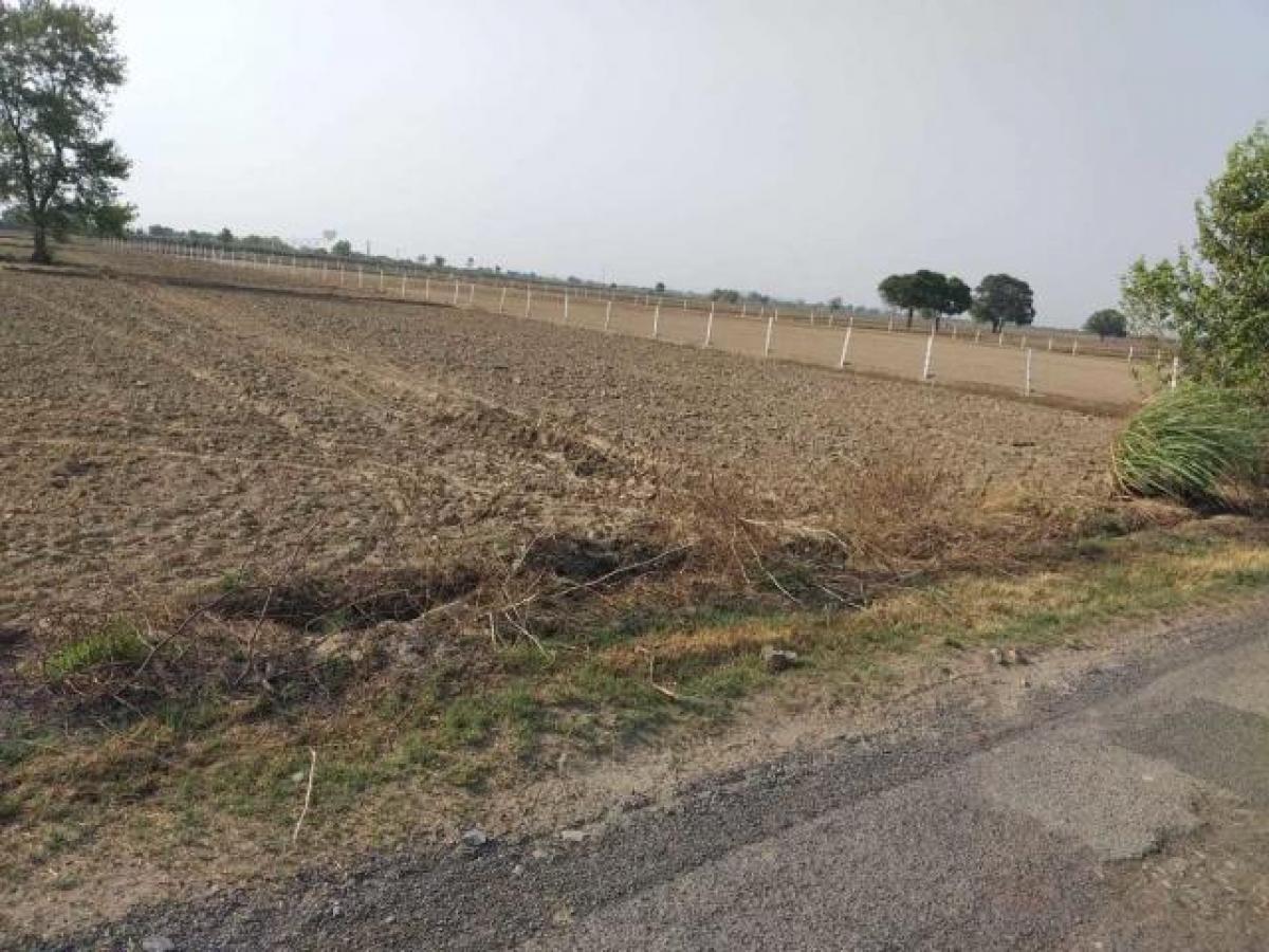  Land in Aligarh, India No. 36113