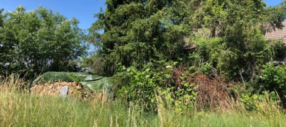 Земельный участок в Рейн-Пфальц, Германия № 305572 2