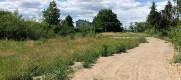 Земельный участок в Рейн-Пфальц, Германия № 305572 4