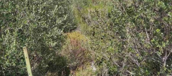 11688m² Hotel in Chalkidiki, Greece No. 2874 6