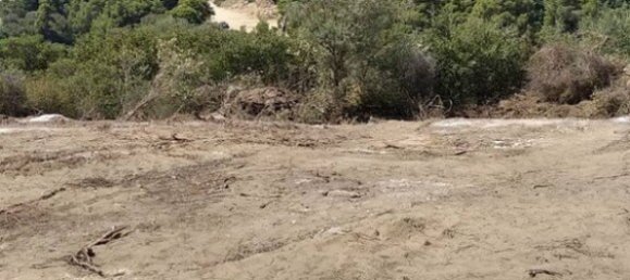 11688m² Hotel in Chalkidiki, Greece No. 2874 8