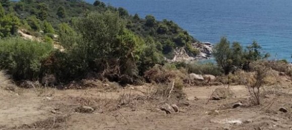 11688m² Hotel in Chalkidiki, Greece No. 2874 7