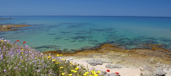 1600m² Land in Castelsardo, Italy No. 47113 22