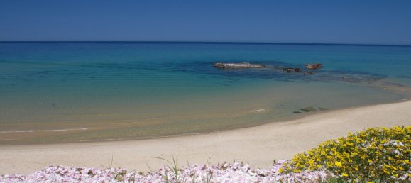 1600m² Land in Castelsardo, Italy No. 47113 25