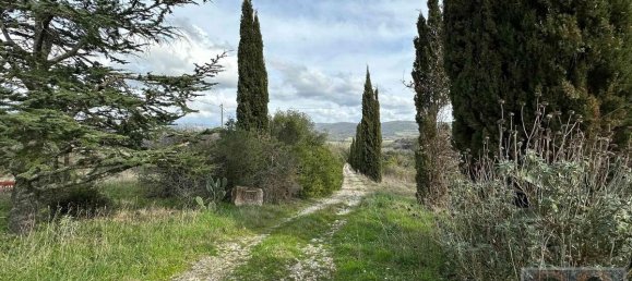 6 Schlafzimmer Haus in Monterotondo Marittimo, Italy, Nr. 321 5