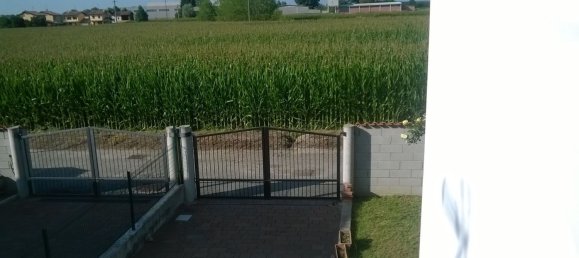 3 rooms Villa in Ottobiano, Italy No. 255357 3