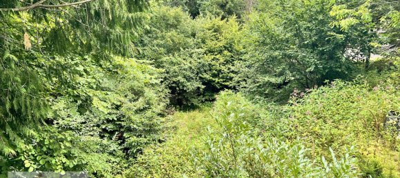 2 Schlafzimmer Haus in Odenwaldkreis, Germany, Nr. 239863 47