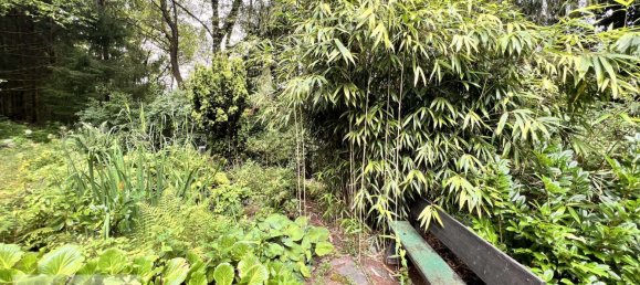 2 Schlafzimmer Haus in Odenwaldkreis, Germany, Nr. 239863 31