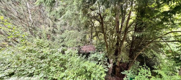 2 Schlafzimmer Haus in Odenwaldkreis, Germany, Nr. 239863 48