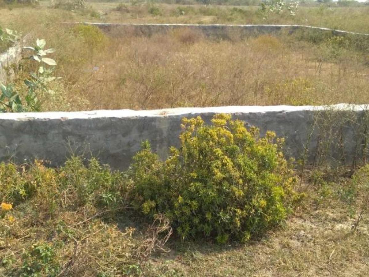  Land in Noida, India No. 65626