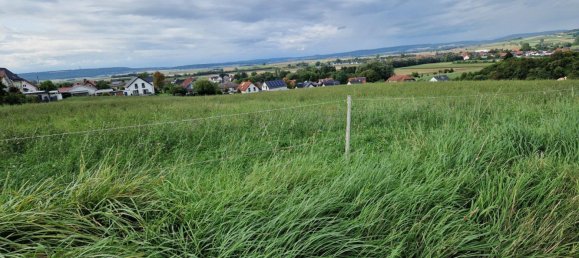 Земельный участок в Марбург-Биденкопф, Германия № 174286 8