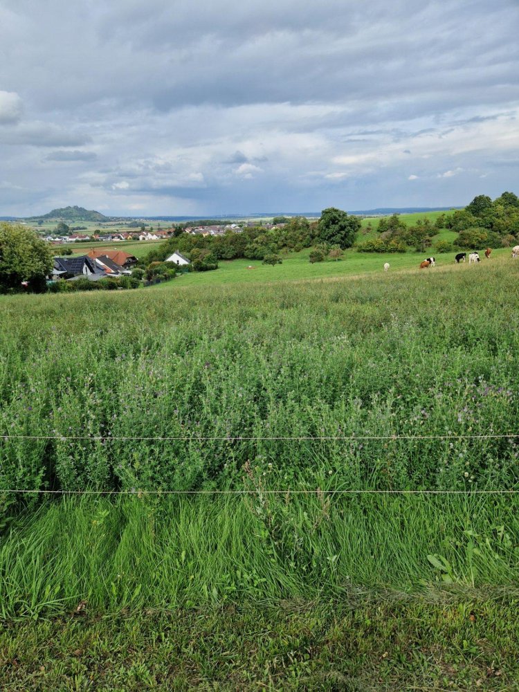 Земельный участок в Марбург-Биденкопф, Германия № 174286