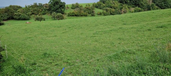 Земельный участок в Марбург-Биденкопф, Германия № 174286 5