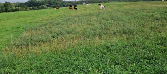 Земельный участок в Марбург-Биденкопф, Германия № 174286 7