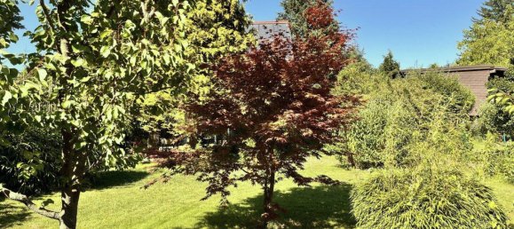 3 rooms House in Klosterneuburg, Austria No. 204588 10