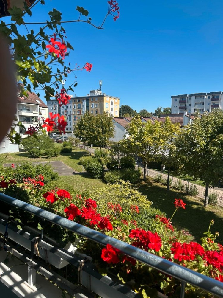 2 غرف نوم شقة في Bad Kreuznach, Germany رقم 319423