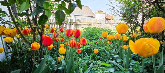 4 rooms House in Raabs an der Thaya, Austria No. 154428 2