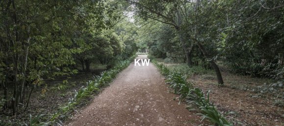 8 chambres Châteaux à Elvas, Portugal No. 103775 13