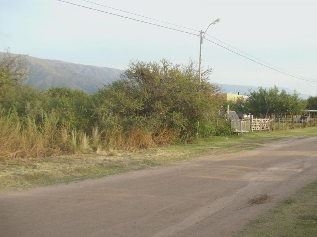  Land in San Luis, Argentina No. 31568
