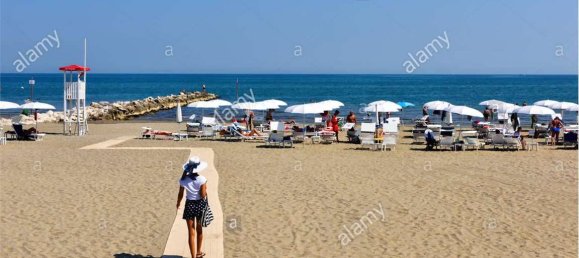 4غرفة عقار تجاري في Venice, Italy رقم 61529 22