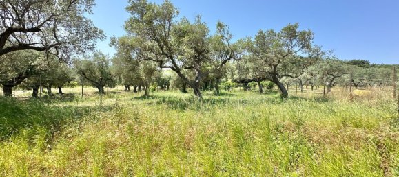 Casa de 4 habitaciónes en Casalbordino, Italy No. 306449 6