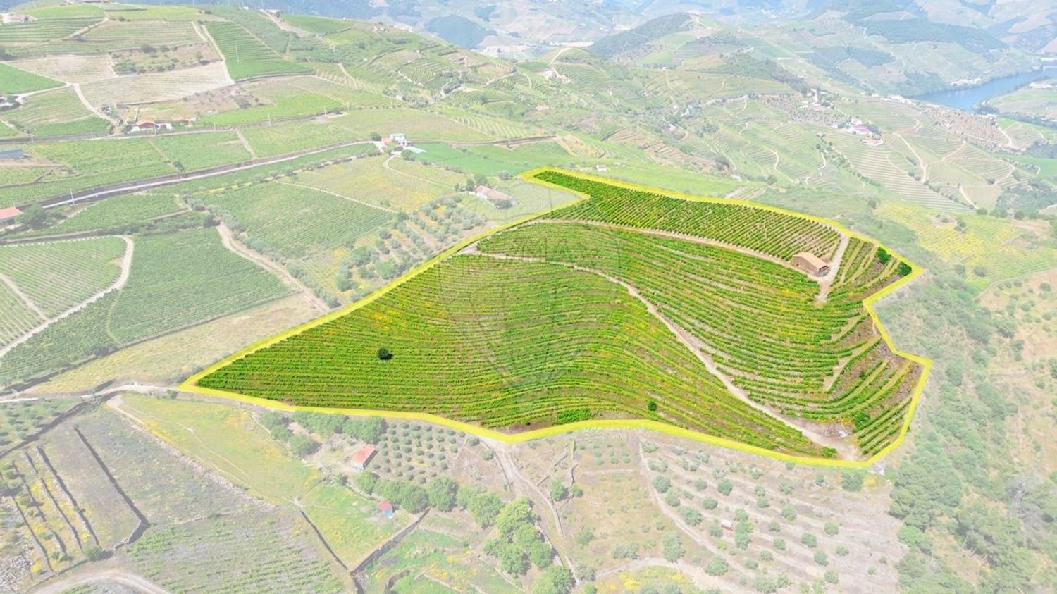 Land in Ervedosa do Douro, Portugal No. 251454