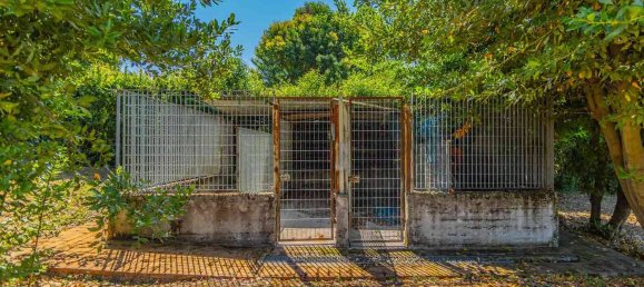 8 bedrooms House in San Cesareo, Italy No. 294688 27