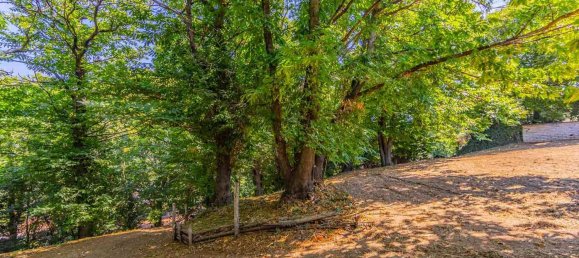 8 bedrooms House in San Cesareo, Italy No. 294688 12