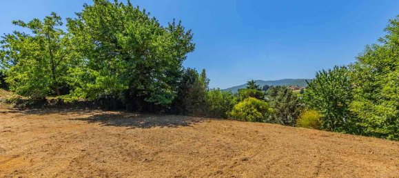 8 bedrooms House in San Cesareo, Italy No. 294688 5