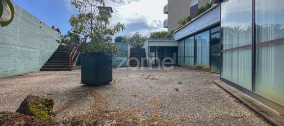 Gewerbliche Immobilie in Ponta Delgada, Portugal 1000m², Nr. 51185 3