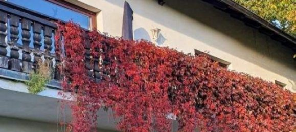 Casa de 4 divisões em Maria Anzbach, Austria N.º 182365 19