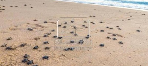 1 غرف نوم شقة في Al Zorah, UAE رقم 65788 29