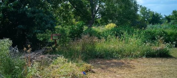 Земельный участок 1026м² в Брук ан дер Лайта, Австрия № 227844 5