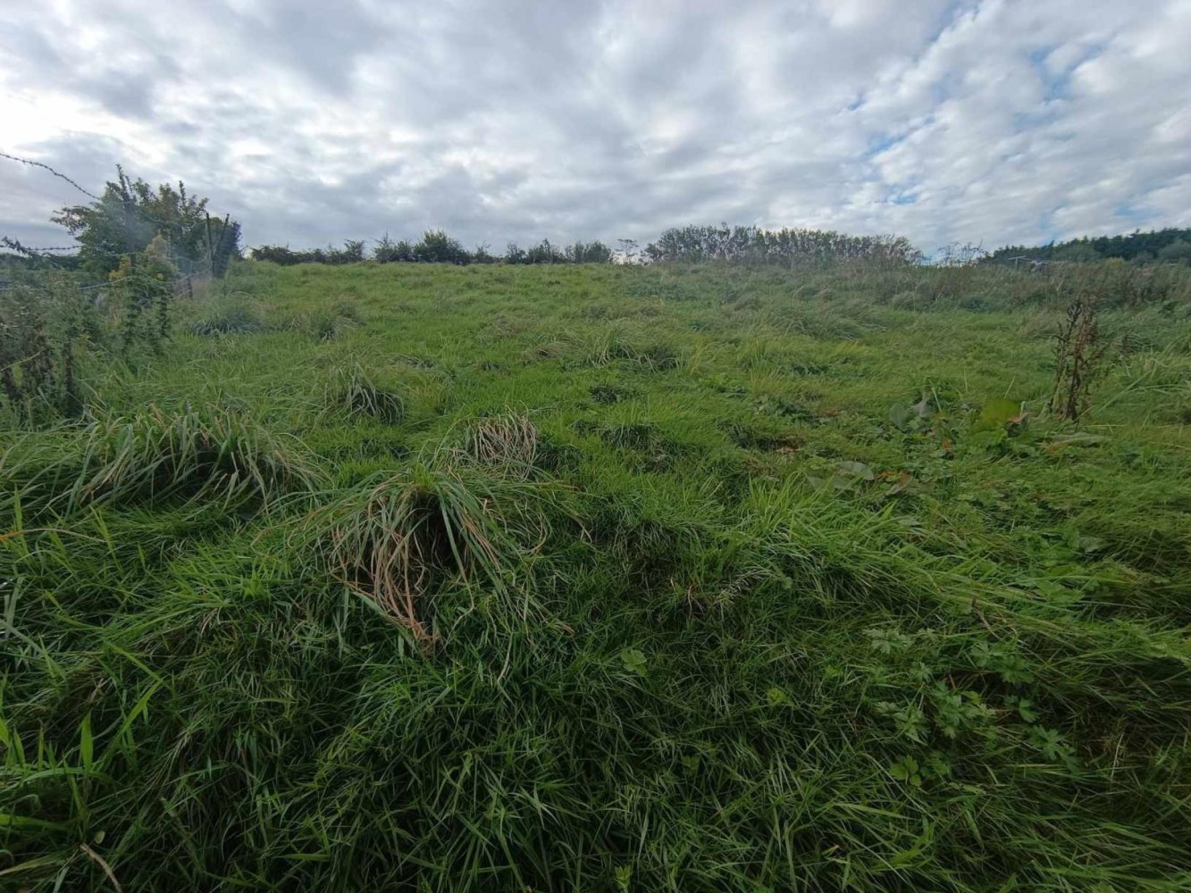  Land in Gouy-Saint-Andre, France No. 236713