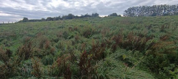 Land in Gouy-Saint-Andre, France No. 236713 6