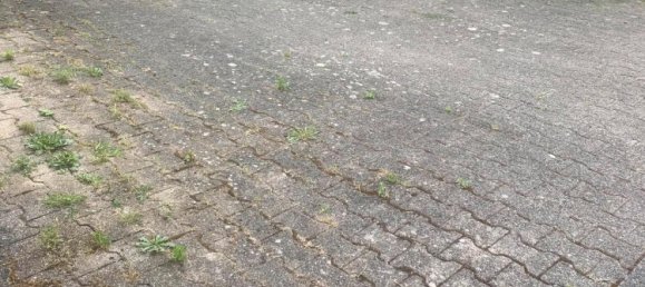 2 bedrooms House in Neckar-Odenwald-Kreis, Germany No. 218649 7