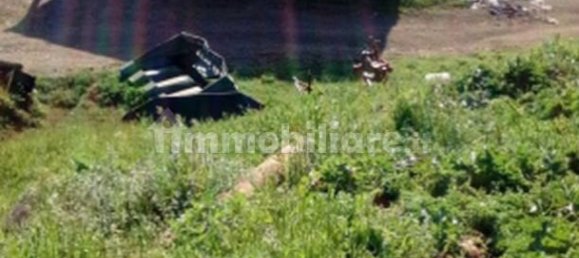 Studio in Segni, Italy No. 259288 5