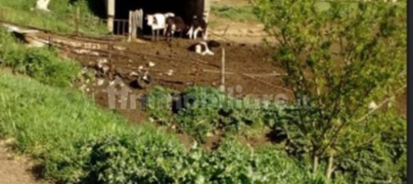 Studio in Segni, Italy No. 259288 7