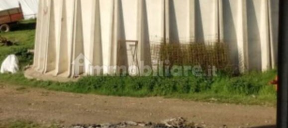 Studio in Segni, Italy No. 259288 6