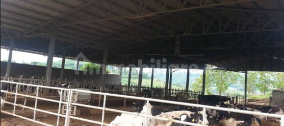 Studio in Segni, Italy No. 259288 11