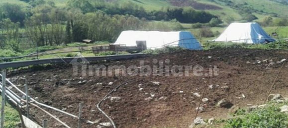 Studio in Segni, Italy No. 259288 4