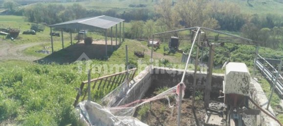 Studio in Segni, Italy No. 259288 9