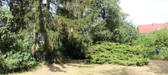 Дом с 5 комнатами в Майнц-Бинген, Германия № 129312 9