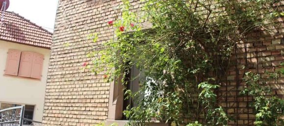 Дом с 5 комнатами в Майнц-Бинген, Германия № 129312 6