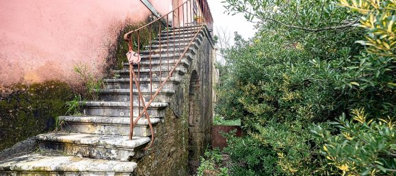 5 bedrooms House in Cantanhede, Portugal No. 25751 16