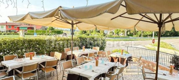 5-Zimmer Gewerbliche Immobilie in Musile di Piave, Italy, Nr. 229821 3