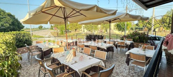 5-Zimmer Gewerbliche Immobilie in Musile di Piave, Italy, Nr. 229821 2